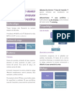 Epidemiología Fisiopatología: Ciclo de Micción