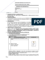 Terminos de Referencia: Municipalidad Provincial de Chucuito Juli