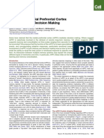 Review: The Role of Medial Prefrontal Cortex in Memory and Decision Making