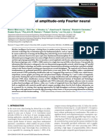 Massively Parallel Amplitude-Only Fourier Neural Network