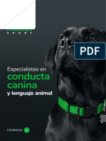 Conducta Canina: Especialistas en