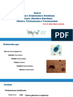 Odontologia Parasitologia: Aula 6 Gênero e Amebíase Gênero e Giardíase Gênero e Tricomoníase