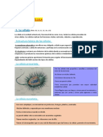 Biología: Tema 1: La Célula