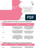 Cuadro Comparativo Del Aparato Reproductor Femenino