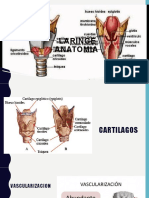 Laringe Grupo10