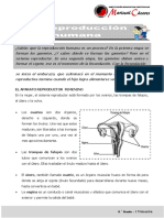 El Aparato Reproductor Femenino: Trompas de Falopio