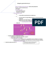 Tanto Los LB y LT Se Originan en Médula Ósea Por Precursores HSC - Precursor Mieloide Común