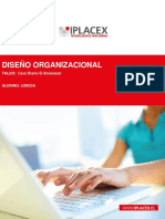 TALLER Diseño Organizacional - LDA