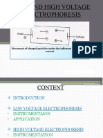 Low and High Voltage Electrophoresis: Movement of Charged Particles Under The Influence of The Electric Current