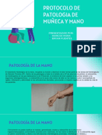 Protocolo de Muñeca y Mano