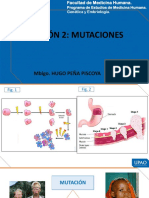 S2 PPT Mutaciones