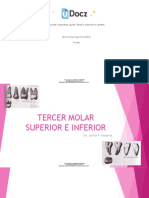 Accede A Apuntes, Guías, Libros y Más de Tu Carrera: Tercer-Molar-Superior-E-Inferior 11 Pag