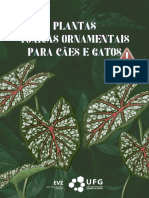 Plantas Tóxicas Ornamentais para Cães E Gatos