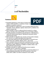 Metabolism of Nucleotides