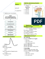 Fisio. Repaso Bolillas Bibliotk Aleee Quintana