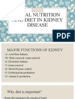 Renal Nutrition and Diet in Kidney Disease