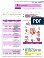 Neuro - Aula 3 - Pares Cranianos