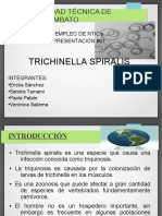 Presentacion1trichinella 131004182128 Phpapp01 PDF