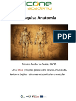 Pesquisa Anatomia