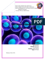 Morfología Enfermeria - Transporte y Viabilidad de Las Celulas Germinativas