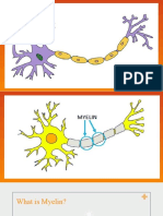 Multiple Sclerosis. OCENA AUBREY