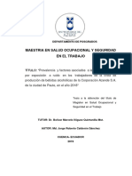 Maestria en Salud Ocupacional Y Seguridad en El Trabajo: Título: "