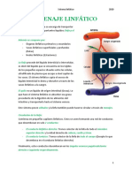 Drenaje Linfático PDF