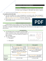 Importance of Chlorophyll and Other Pigments