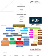 Mapa Conceptaul