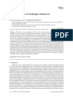 The Mechanism of Androgen Actions in PCOS Etiology