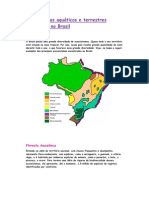 Ecossistemas Aquáticos e Terrestres Existentes No Brasil - Bio