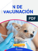 Plan de Vacunacion en Perros