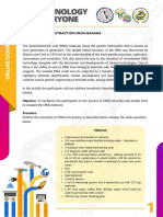 DNA Extraction From Banana