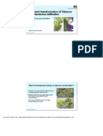 PPCB Lab Presentation PDF