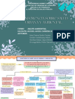 Conferencia Sobre Salud Urbana y Ambeintal