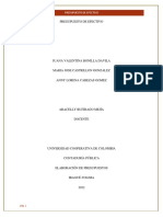 Ensayo Presupuesto Efectivo PDF