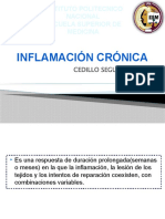 Inflamacion Cronica