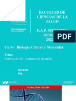 Practica #8 - Extraccion de ADN