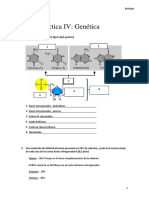 Actividades Biologia Celular - Enfermeria UFPC