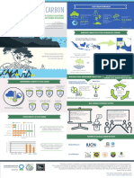 Blue Carbon Infographic (Fin)