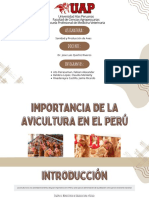 Importancia de La Avicultura en El Perú