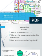 Metabolism