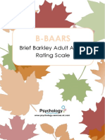 B-BAARS English PDF