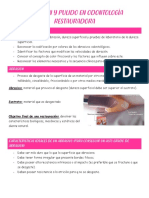 Biomateriales Dentales PDF