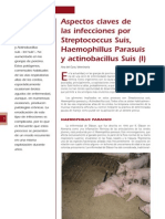 4 Infecciones Por Streptococcus Suis