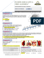 Diagnostica 2° Sec