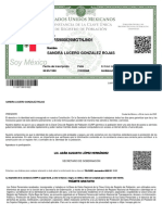 PDF Documento