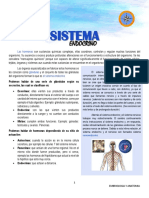 Exposiciom - Sistema Endocrino-1