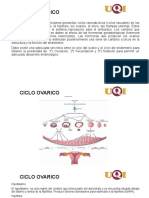Ciclo Ovarico