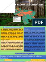 Nuestros Recursos Forestales PDF